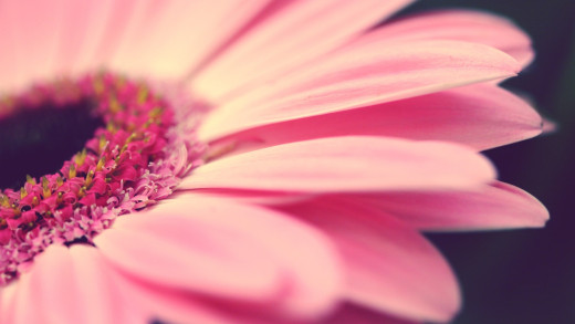 855909 (a): :2560x1440